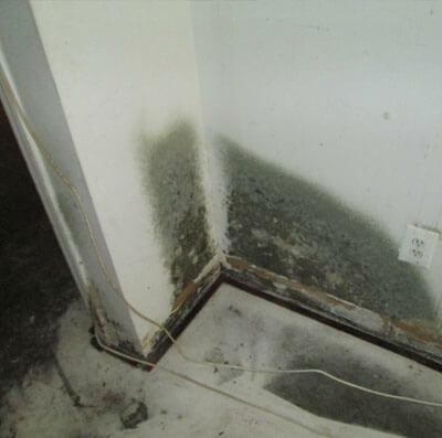 Mold Inspection Long Island